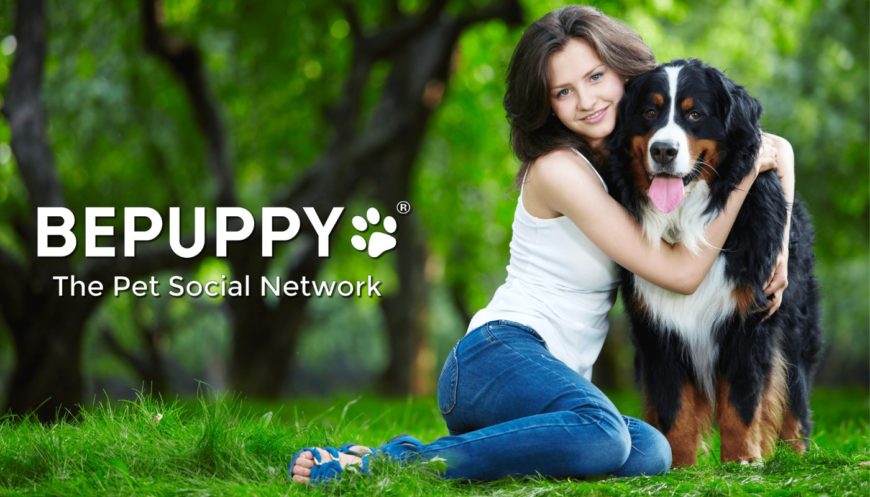 Social network  dedicati al mondo degli animali domestici: Bepuppy