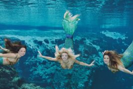 Lavorare in “fondo al mar”: cercasi aspiranti sirenette in Florida