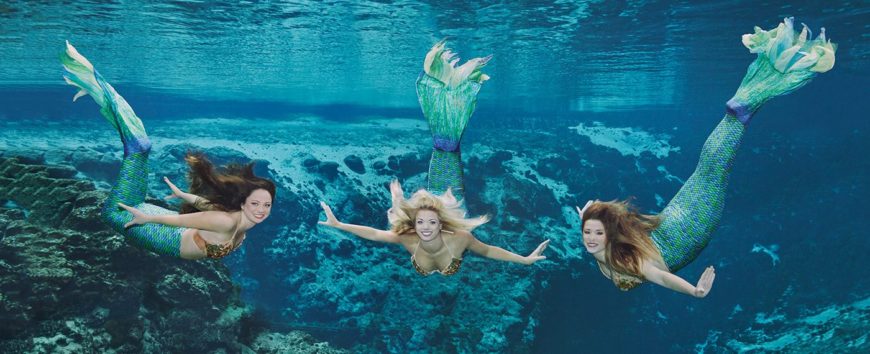 Lavorare in “fondo al mar”: cercasi aspiranti sirenette in Florida