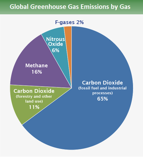  Gas serra percentuale tipo di gas