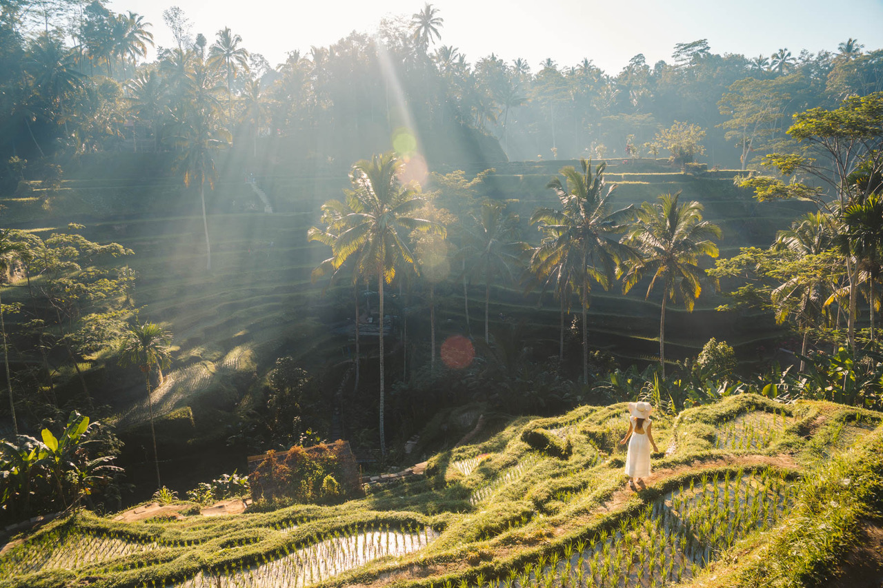 la via delle scimmie