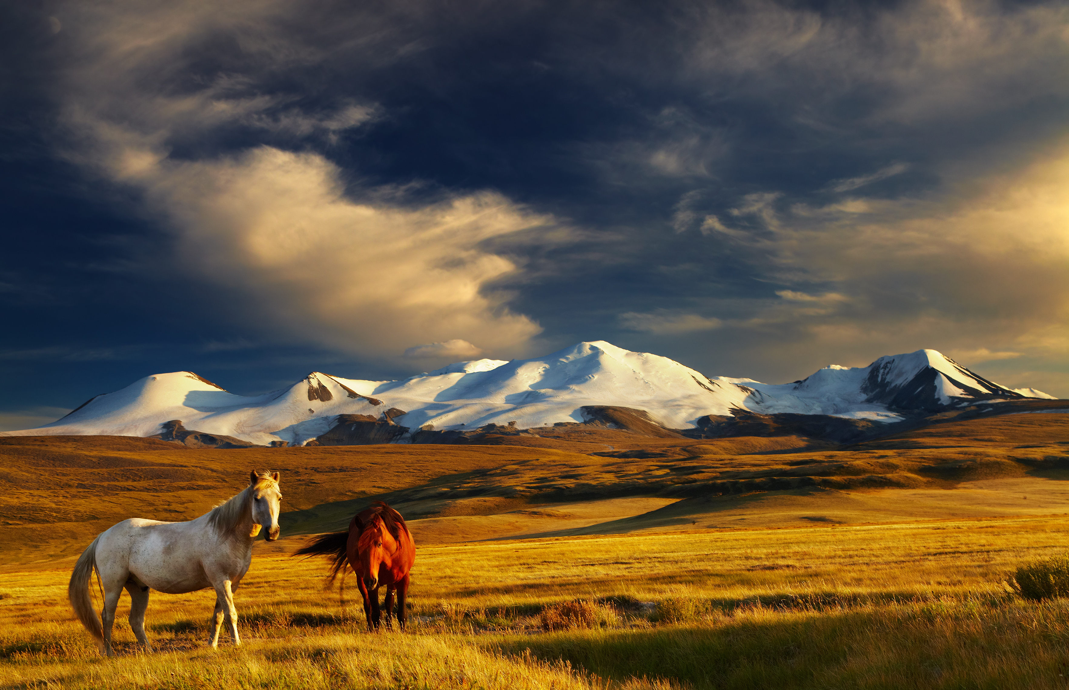 https://www.voglioviverecosi.com/alfredo-savino-vivere-e-lavorare-in-mongolia.html