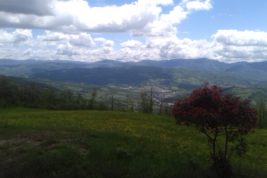 Lasciare la città per andare a vivere in un bosco