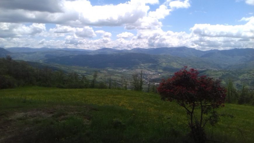 Lasciare la città per andare a vivere in un bosco