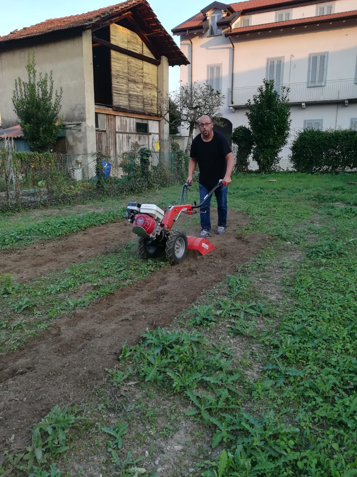 daniele mazzini giardiniere