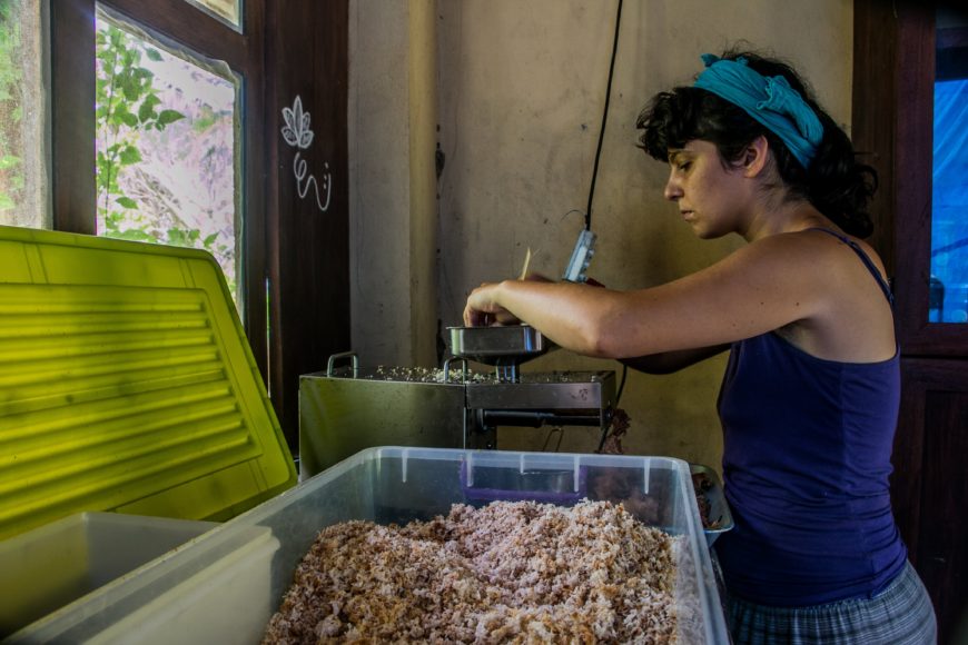 Dalle multinazionali alle fattorie: non è coraggio, solo libertà