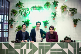 Francesco Bacchetti, Alessandro Biggi e Alberto Gramini