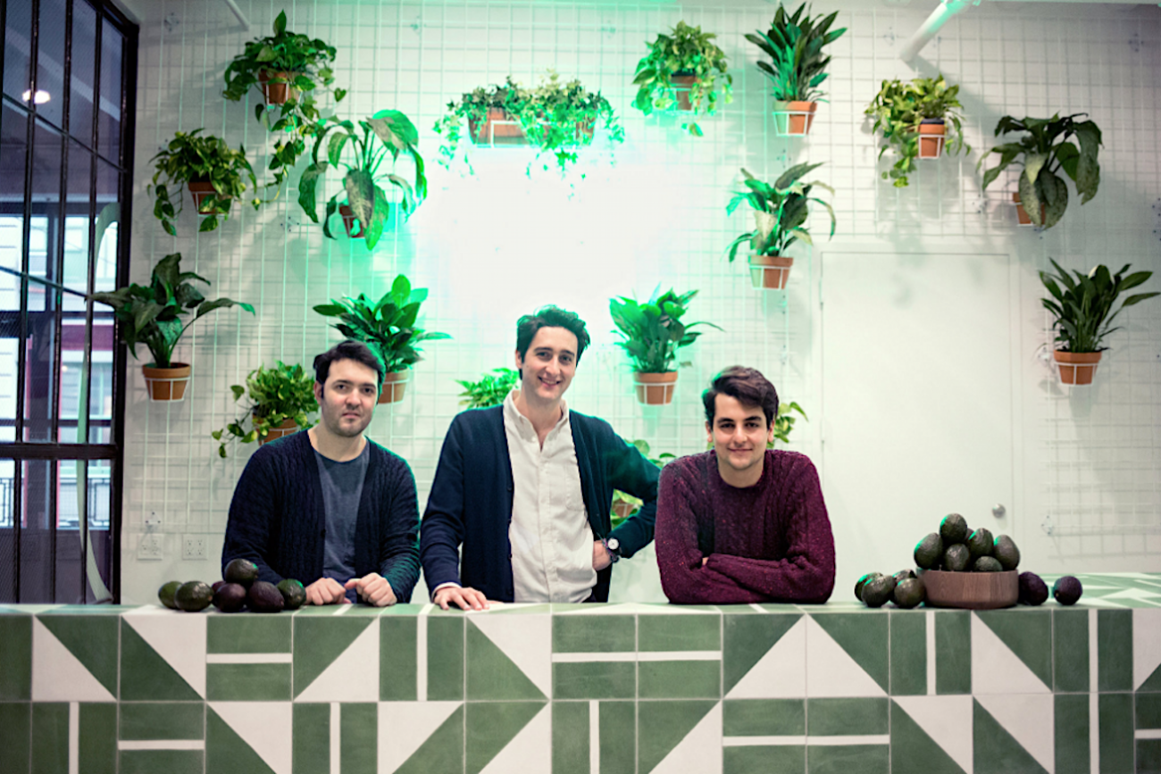 Francesco Bacchetti, Alessandro Biggi e Alberto Gramini