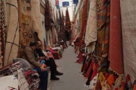 Cristina Cardillicchia