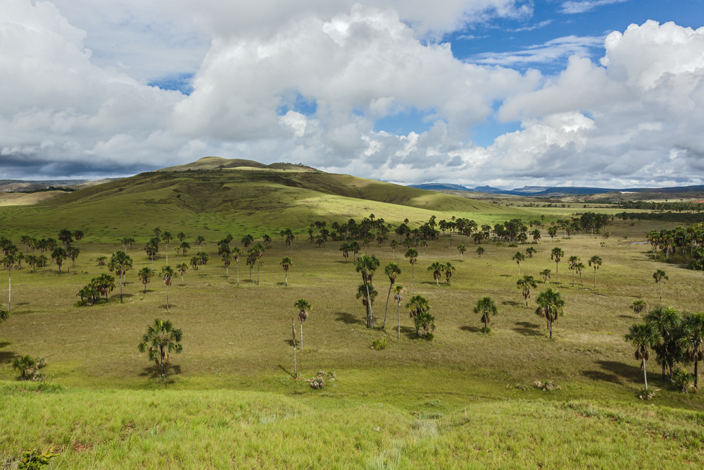 Gran Sabana VENEZUELA