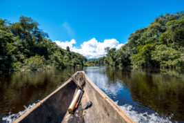 Le Savane del Venezuela: Gran Sabana e Los Llanos