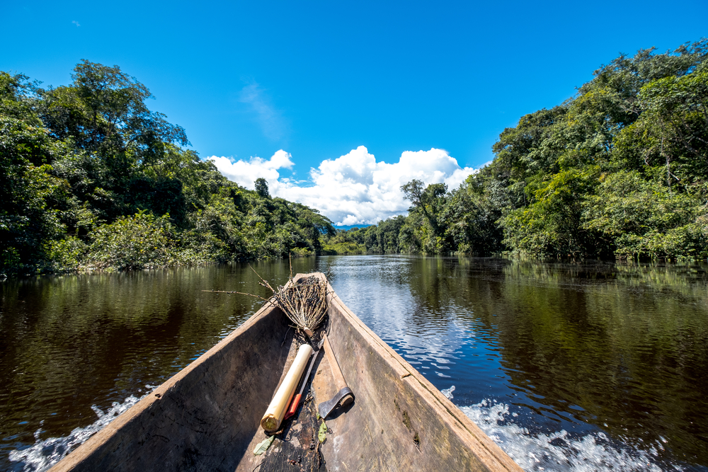 Le Savane del Venezuela: Gran Sabana e Los Llanos