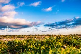 Green Network Energy