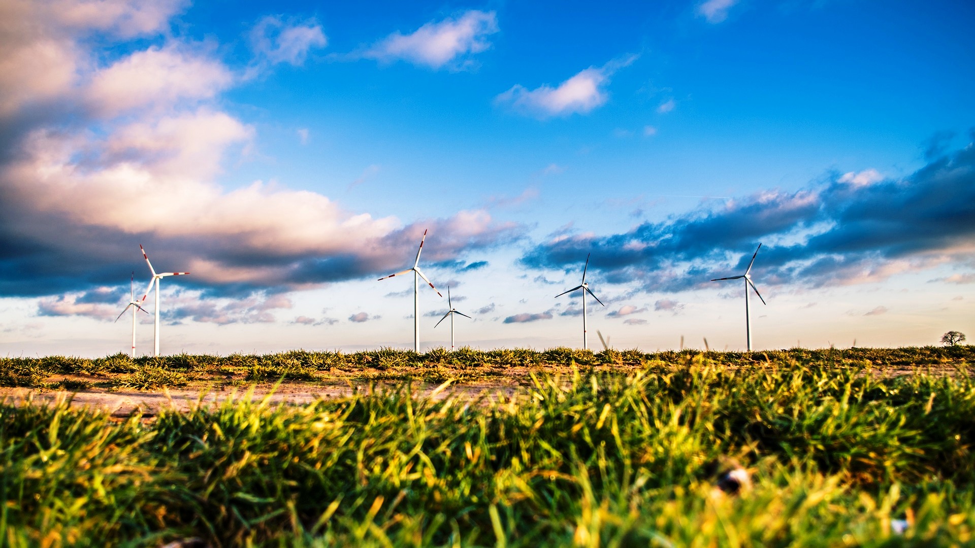 Green Network Energy