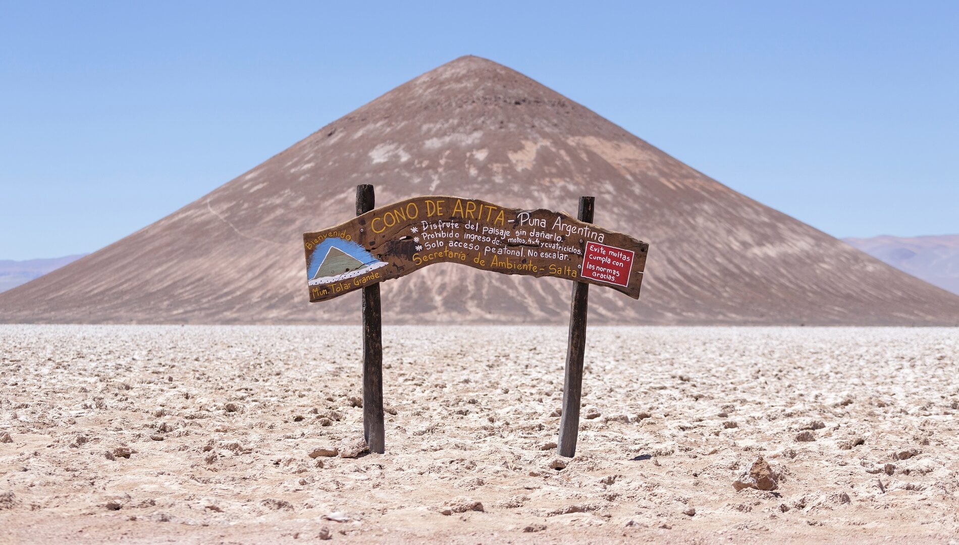 Cono de Arita argentina