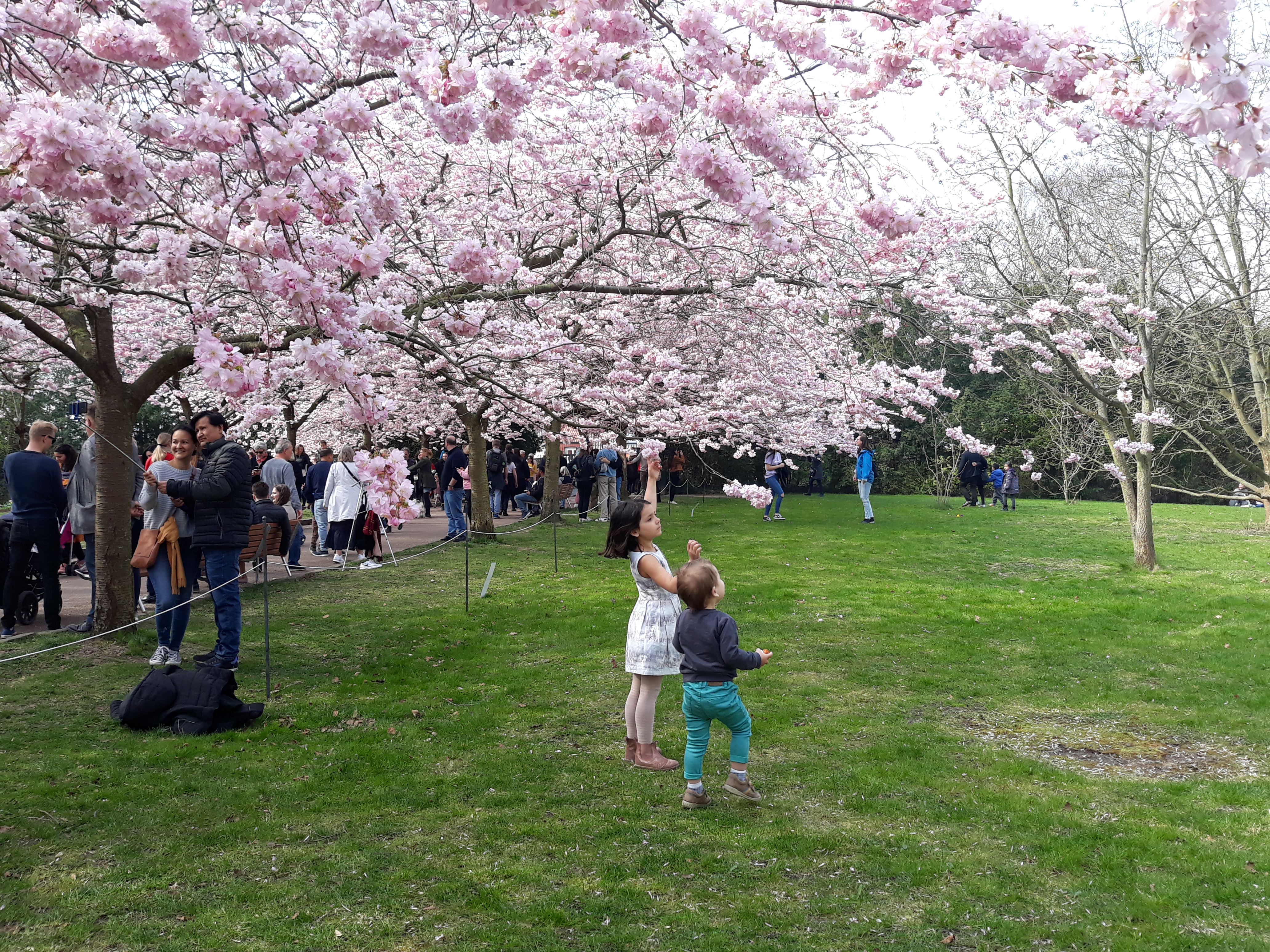 Nicholas Porcellato danimarca