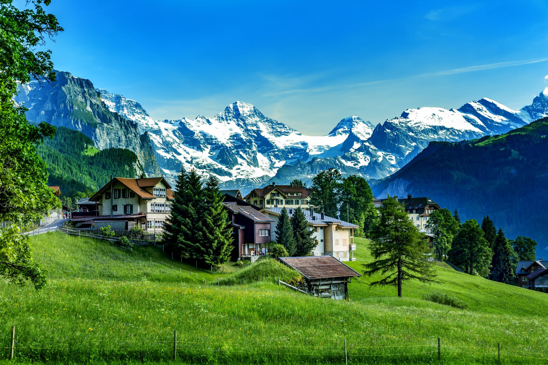 Perche Tutti Portano I Soldi In Svizzera