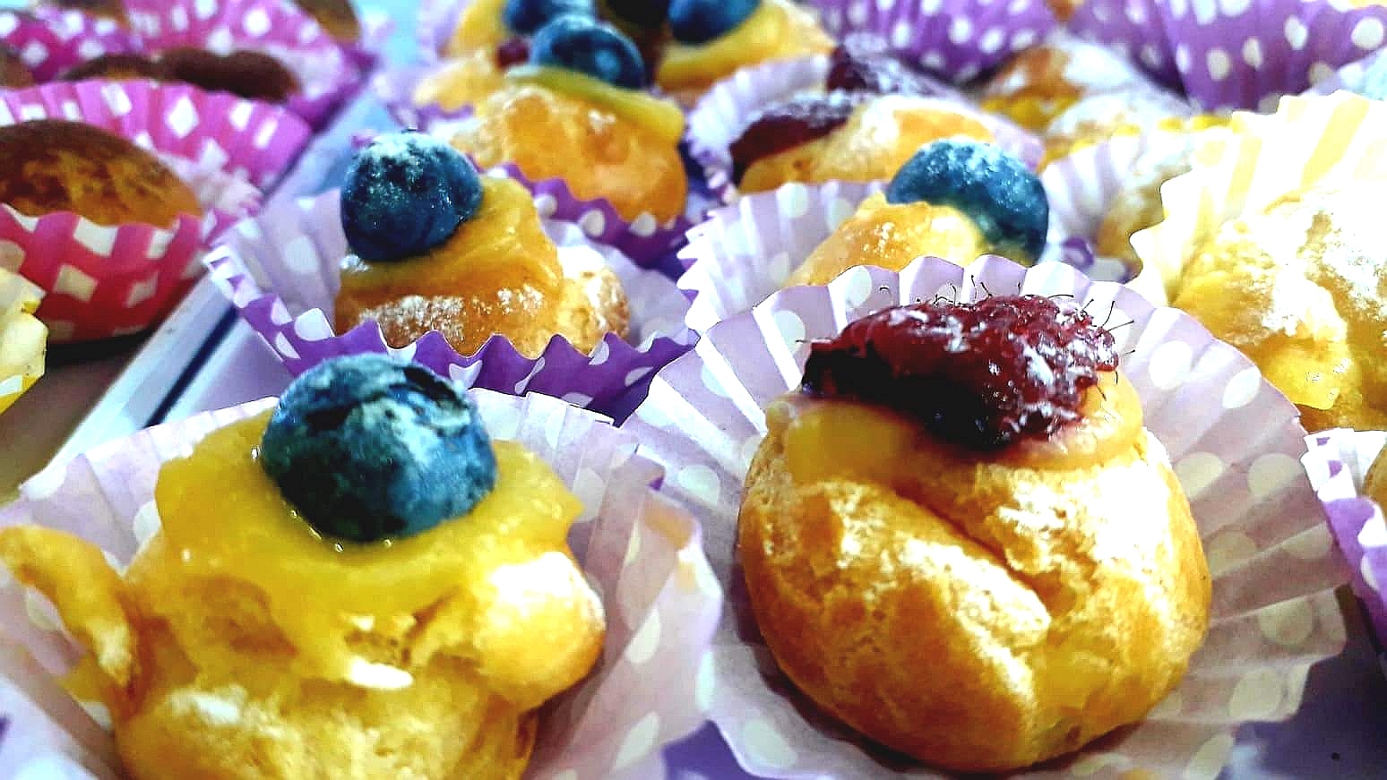 nuova vita fuerteventura