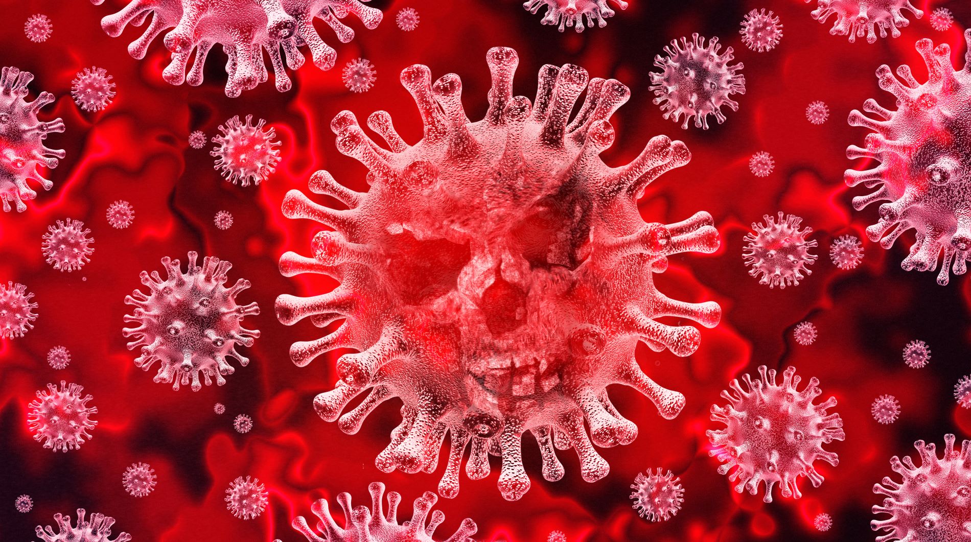 FOTO CORONAVIRUS