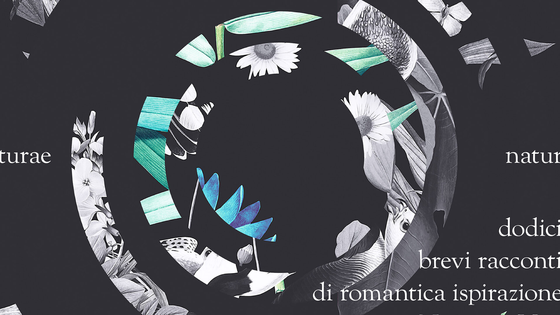 Federico Montese: Naturae.