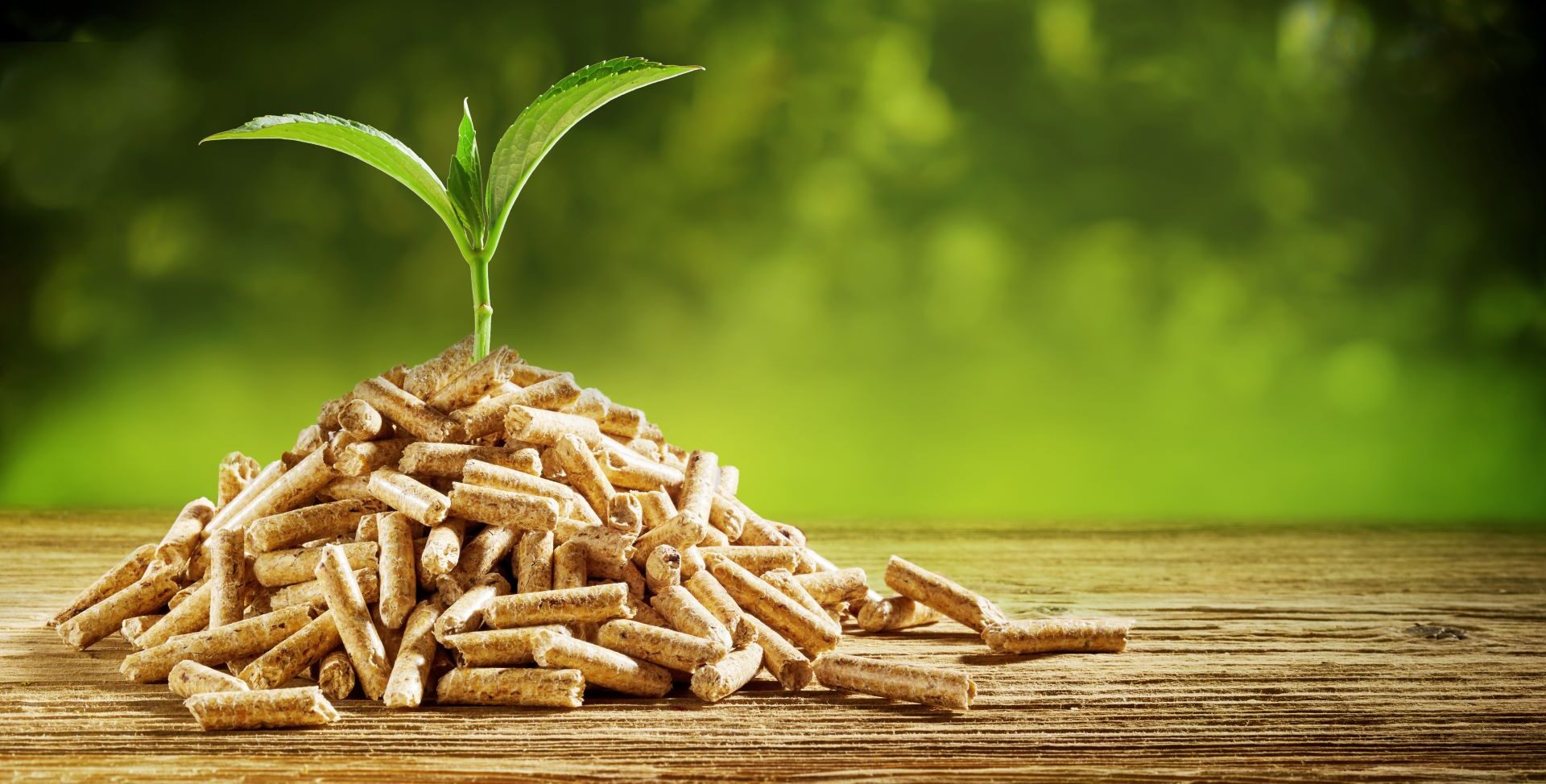 Importazione di pellet