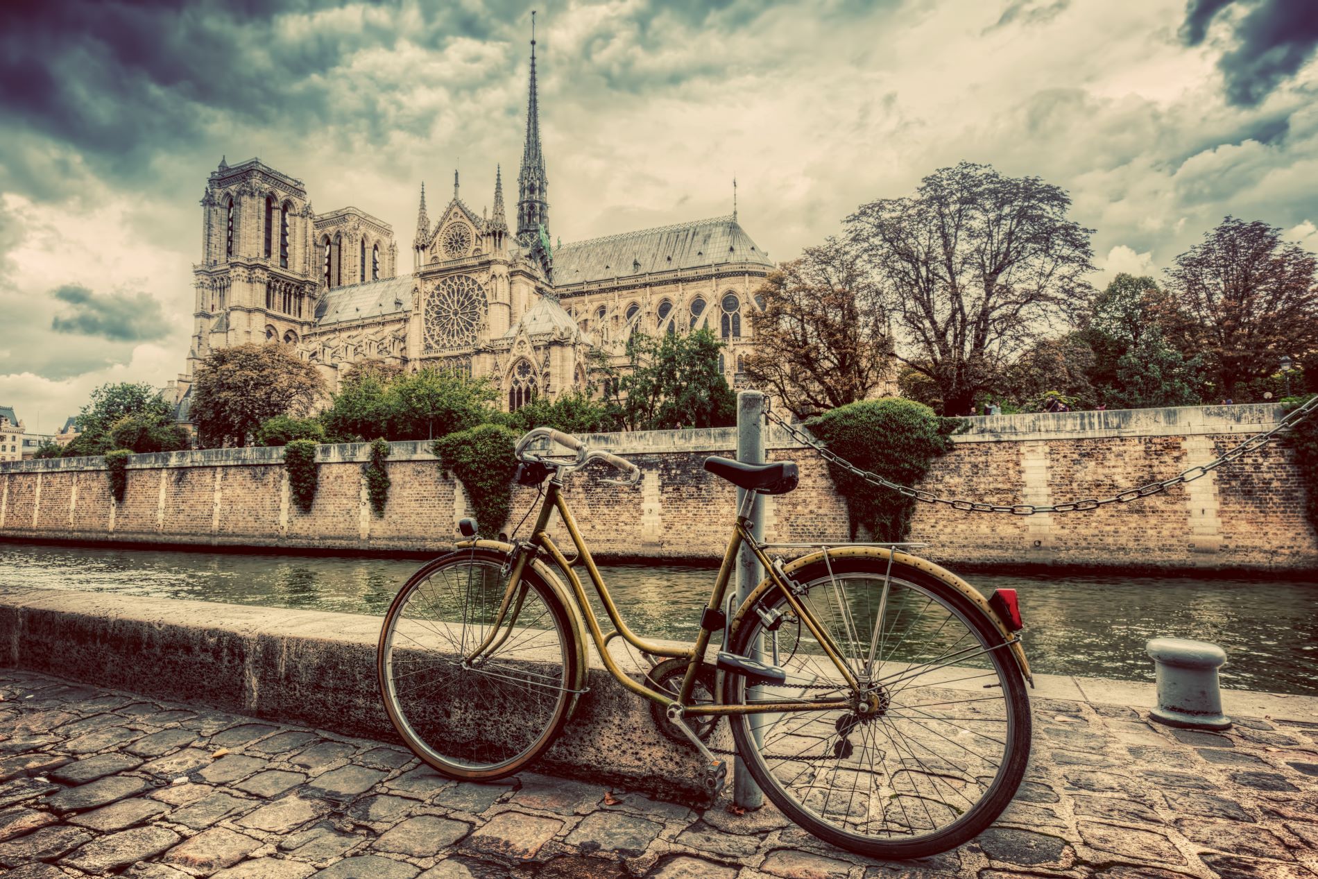 Come Comprare Bici e Monopattini con il Bonus Mobilità