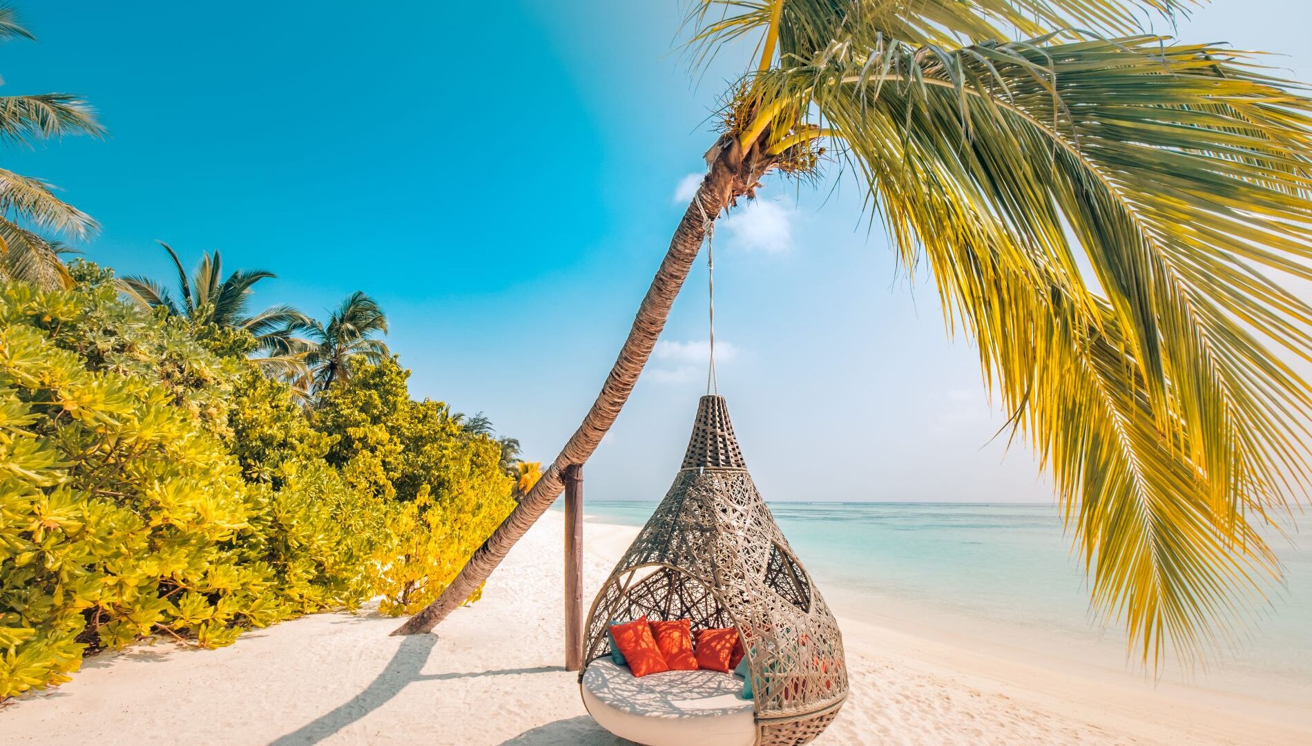 PARADISI SMART WORKERS