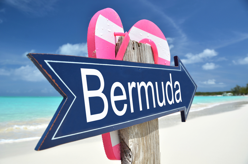 bermuda smart workers