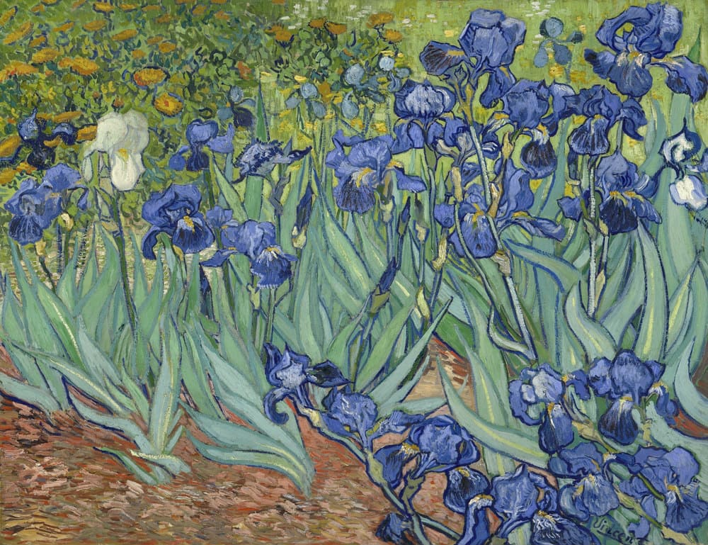 musei virtuali online gratis