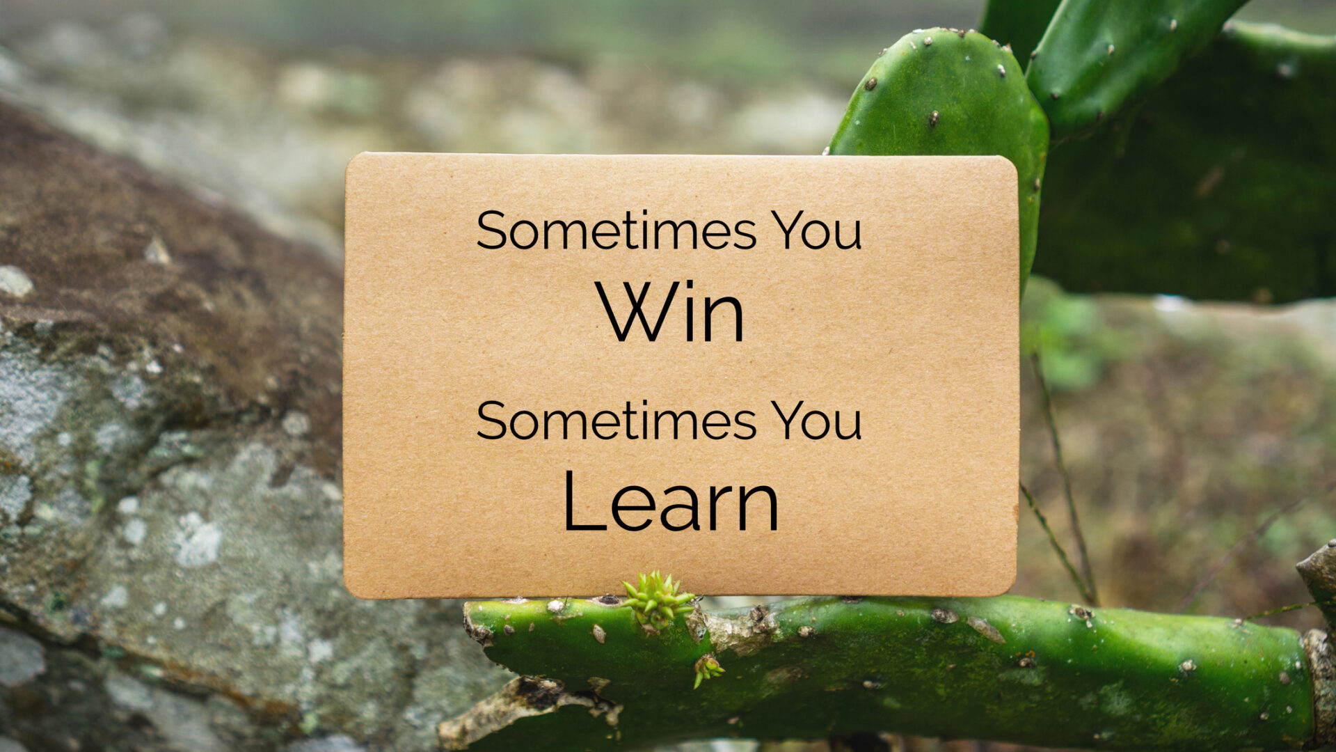 Le frasi più popolari sul gioco da casinò