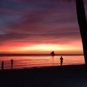 310720791_495900005763146_7819763928672257557_n