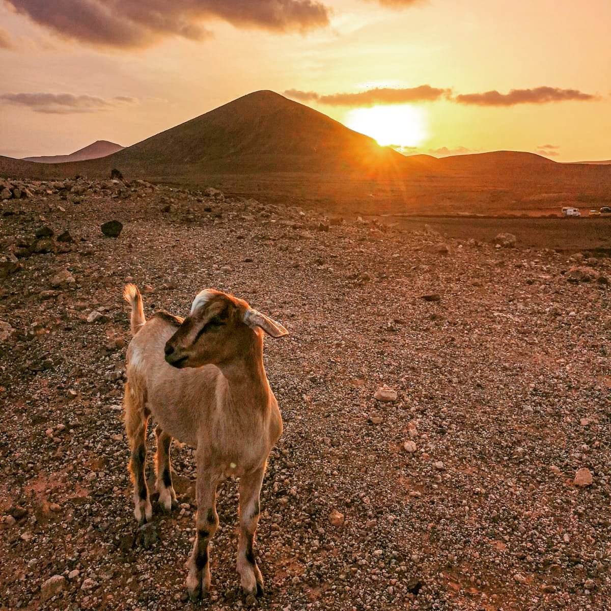LIALA MILIARDI LA CASA DE LAS ESTRELLAS LANZAROTE