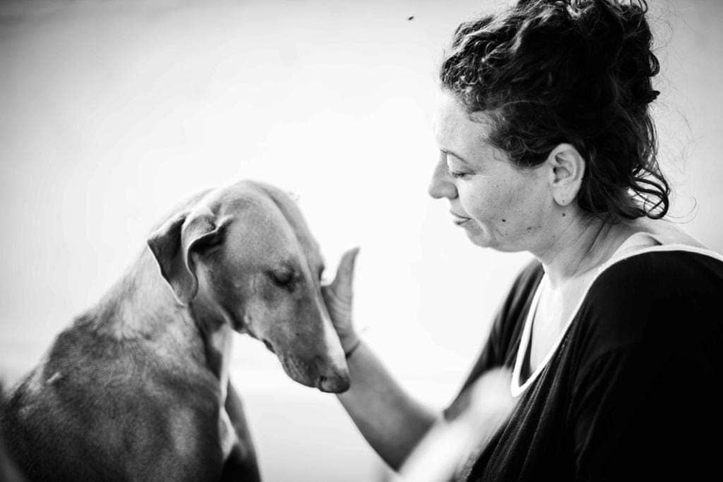 LIALA MILIARDI LANZAROTE