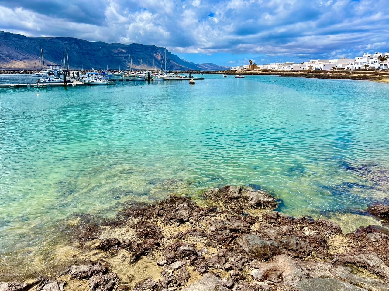 Alessio De Luca Canarie