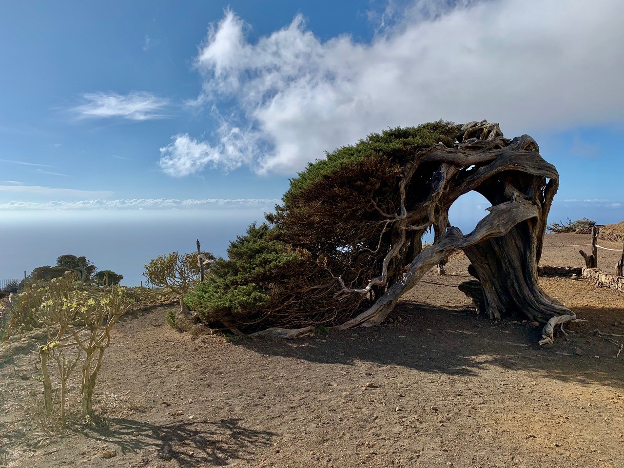 Alessio De Luca Canarie