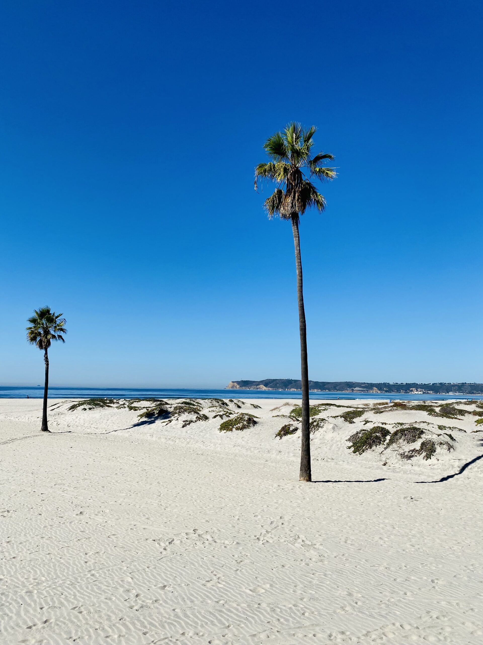 Giada Bravo a 40 anni ha deciso di mollare tutto: destinazione San Diego