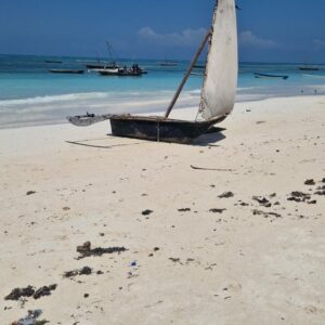 Roberta mamadunia travel Zanzibar (6)
