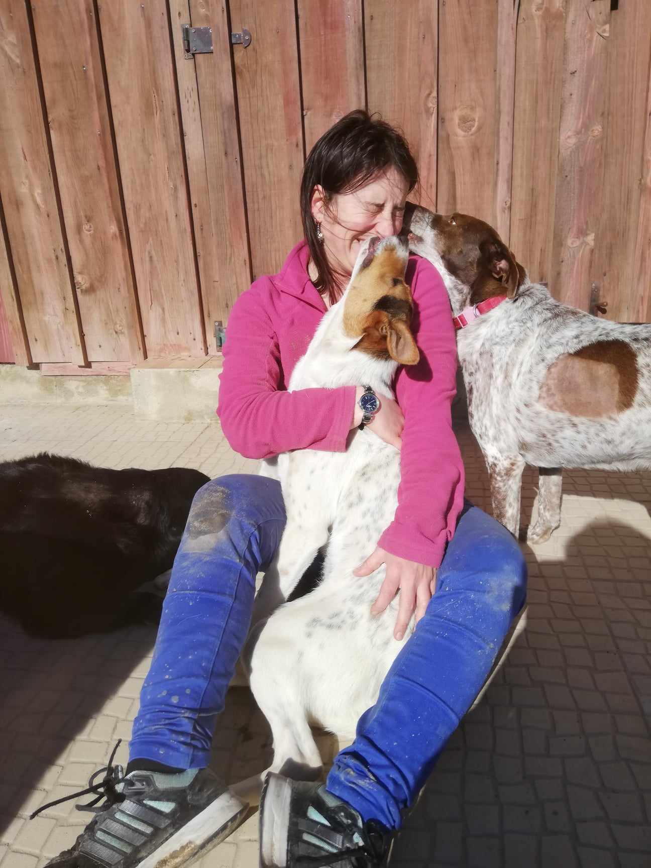 Alice: una veterinaria di Padova a Lisbona (Portogallo)