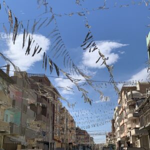 Emanuela Ripamonti Egitto 5