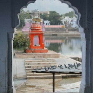 Auni Kamalika India 6