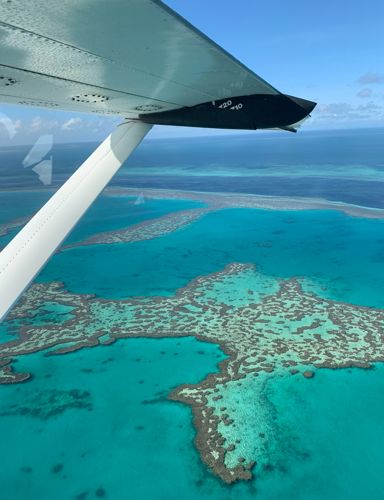 Barbara Zoroddu Australia 