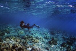 Davide Doroldi Thailandia