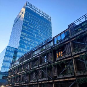 Francesca Scomparini Manchester 4