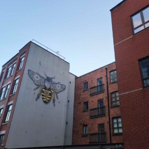 Francesca Scomparini Manchester 9