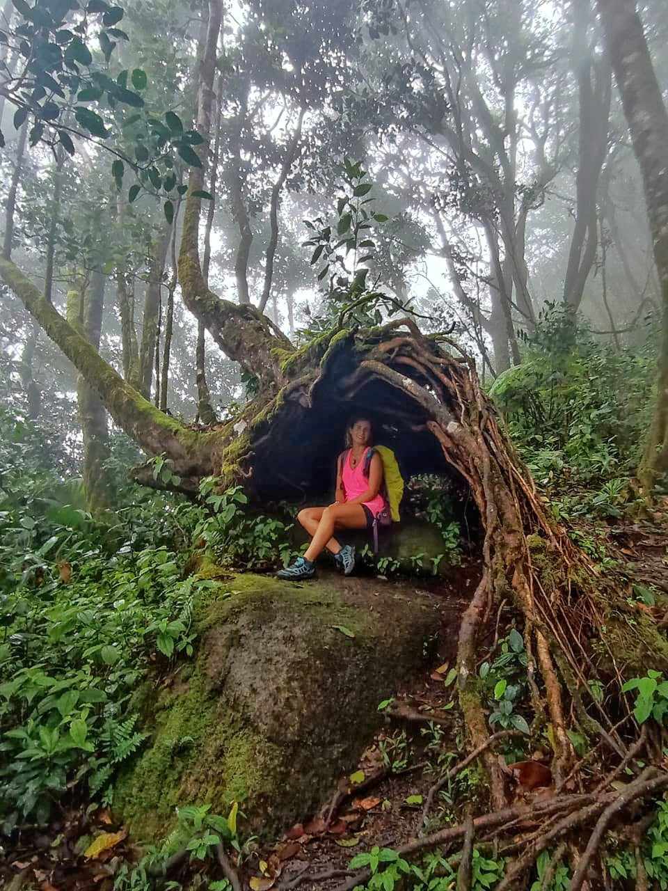 Giulia Gallinetta Seychelles