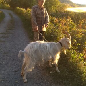 IMG_20171016_180718975