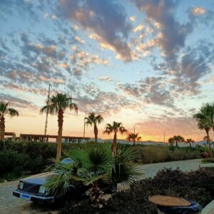 Laura Cernigliaro Egitto 7