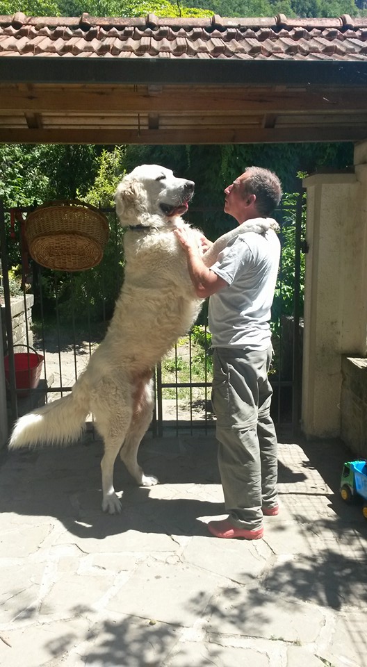 Mollano tutto per vivere in un borgo disabitato: Manuela e Gilberto e il loro b&b in Val Ceno