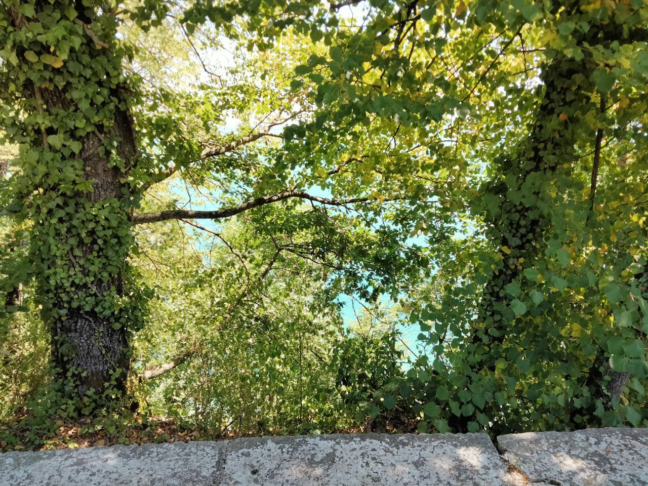 Elvira Frusteri Svizzera