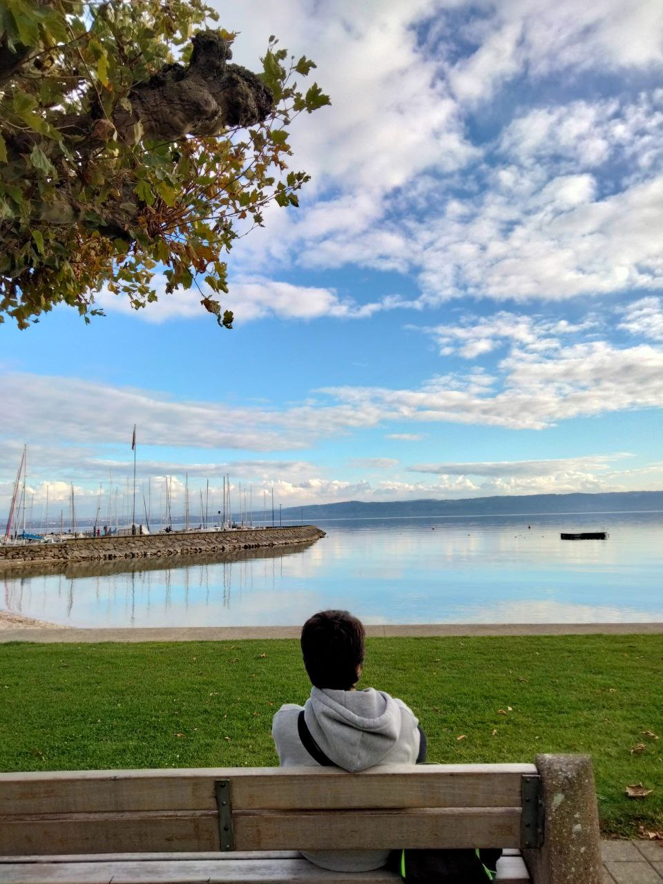 Elvira Frusteri Svizzera